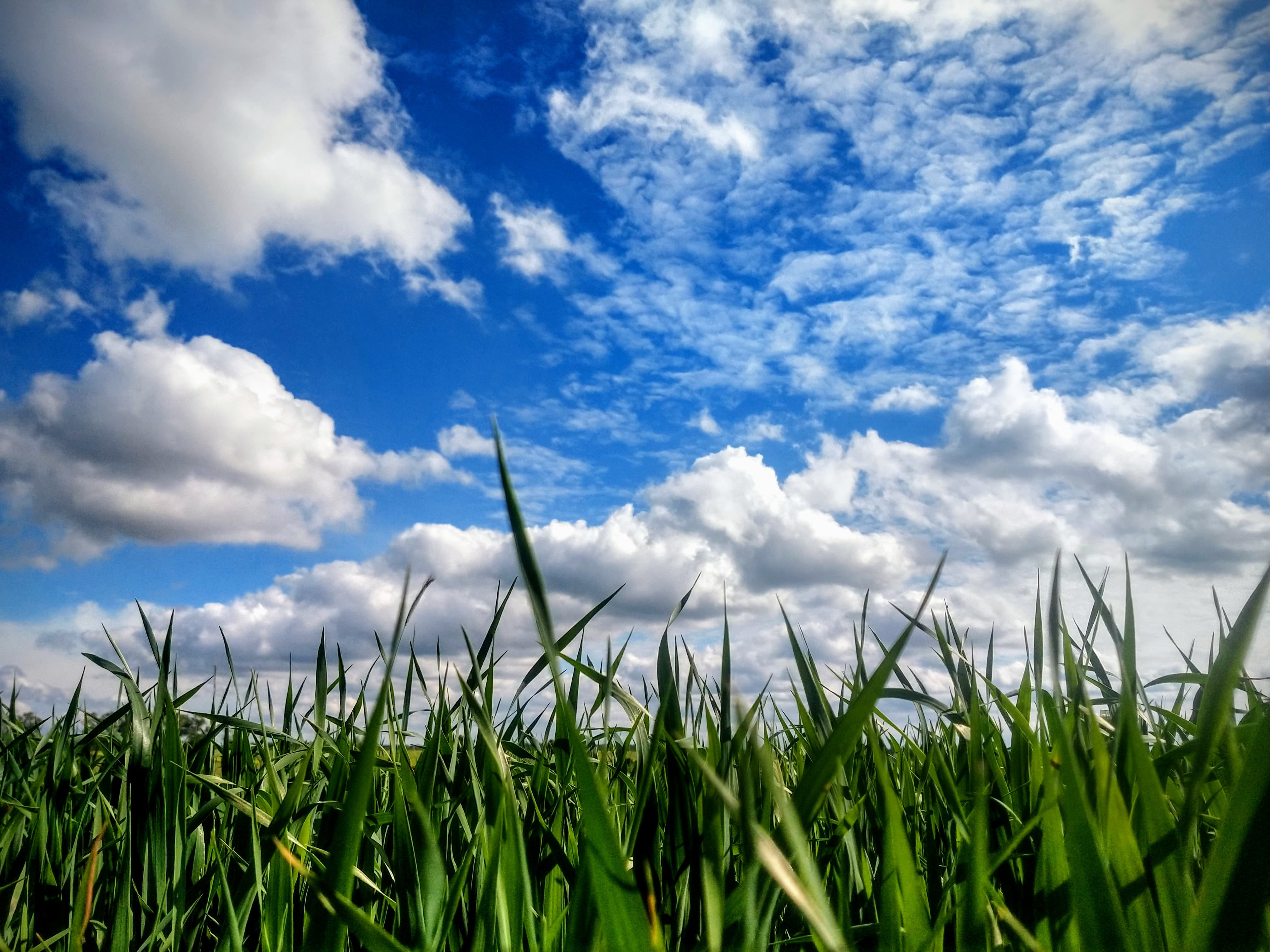 103313969_3007822036000826_730356046258708288_n